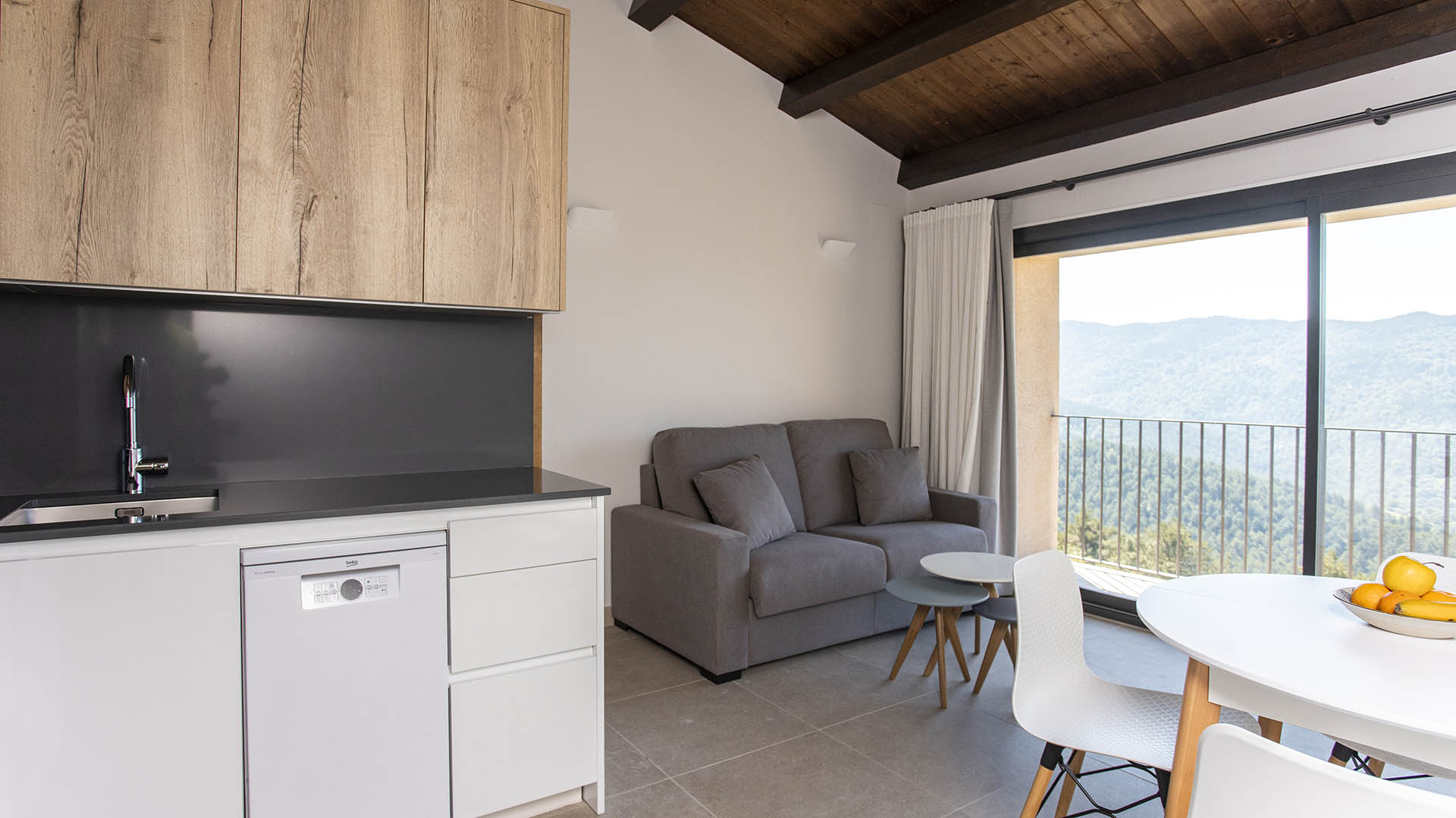 Apartament 1